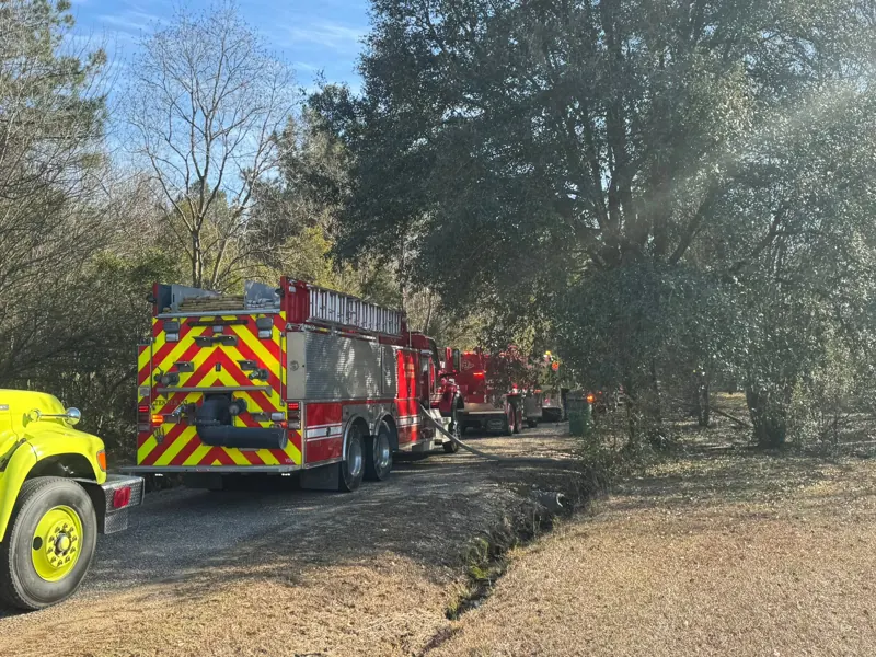 District 13 engine working a brush fire along a tree line